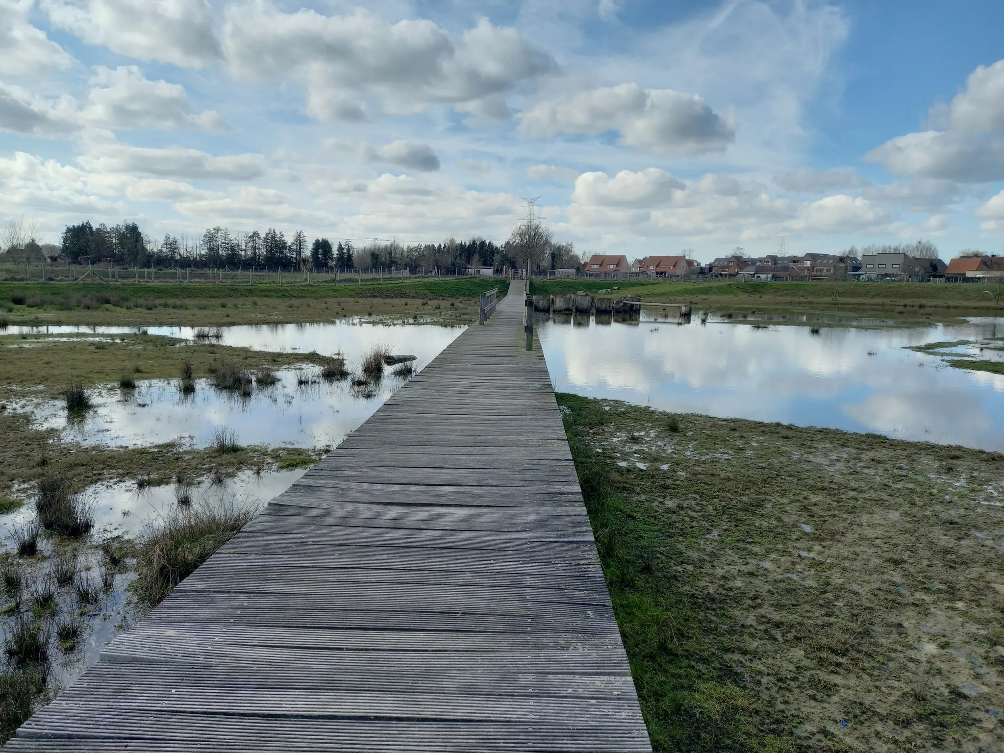 Waterbekken in Zedelgem